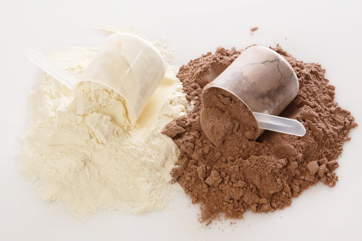 Comparación entre proteína whey y proteína vegetal en polvo